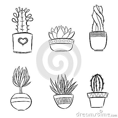 Set of cute succulents plants in pots Cartoon Illustration